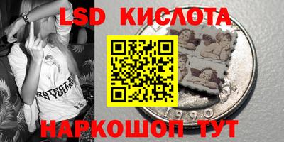 прущие грибы Балашиха
